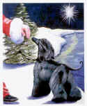 TheNightBeforeChristmas.jpg (32251 bytes)