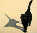 me&myshadow.jpg (27920 bytes)