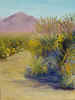 payuccaplant4fernando copy.jpg (71039 bytes)