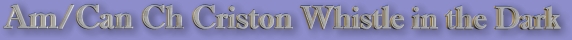 Eliheader1.jpg (22349 bytes)