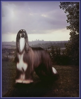 Leila2.jpg (24943 bytes)