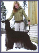 Minky.jpg (14217 bytes)