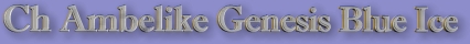 Mollyheader.jpg (16974 bytes)