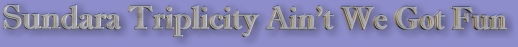 Sunnyheader.jpg (20864 bytes)