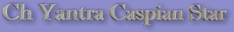 atillaheader.jpg (13578 bytes)