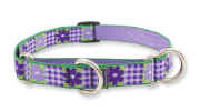 LupineMedComboCollar2.jpg (19595 bytes)