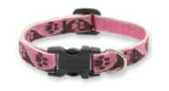 LupineTicklePinkCollar.jpg (7648 bytes)