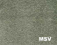 MSV_small.jpg (6240 bytes)
