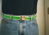 Reflect_Belt_day.jpg (5666 bytes)