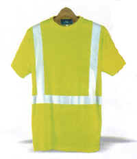 SafetyT-Shrt.jpg (128693 bytes)