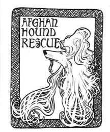 SmallWhitedAfghan Houndill.jpg (27533 bytes)