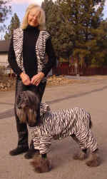 ZebraDahlia&Priscilla.jpg (42186 bytes)