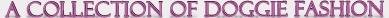 acollection.jpg (13490 bytes)