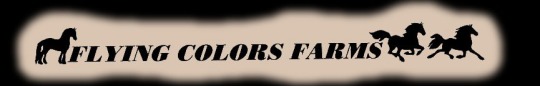 2004logofeathered2.jpg (13398 bytes)