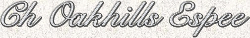 Ch Oakhills Espee.jpg (20045 bytes)