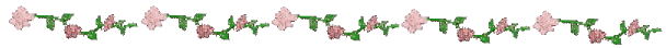 flowersline2.gif (8817 bytes)