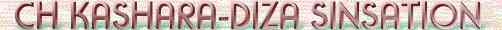 CH KASHARADIZA SINSATION.jpg (3587 bytes)