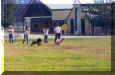 AGILITY11.jpg (490527 bytes)