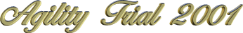 AgilityTrial.gif (5895 bytes)
