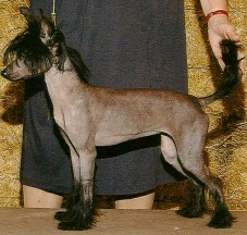 STARLA