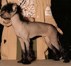 TREKKER
