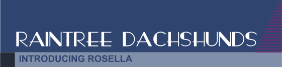 ad38header.gif (7885 bytes)