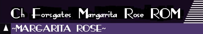 headermargarita.jpg (20920 bytes)