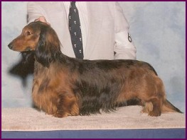 tucker2.jpg (17107 bytes)