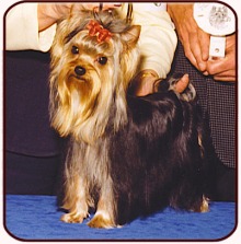 DeDeOne.jpg (20951 bytes)