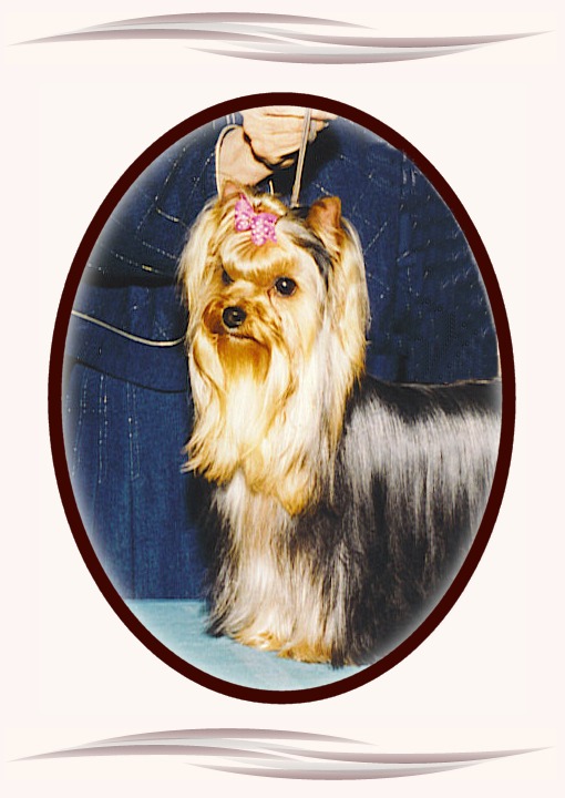 ToriCoverFour.jpg (86150 bytes)