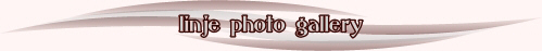 headerphoto2.jpg (14551 bytes)