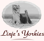 logotwo2x5.jpg (10066 bytes)