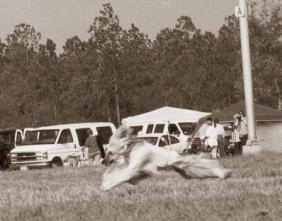 flyingkahlua2.JPG (25722 bytes)