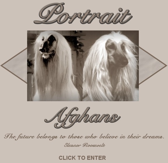 portraitcover2.jpg (56875 bytes)