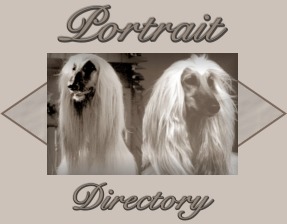 portraitdirectoryheader.jpg (16267 bytes)