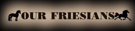 OURFRIESILOGO.jpg (8159 bytes)